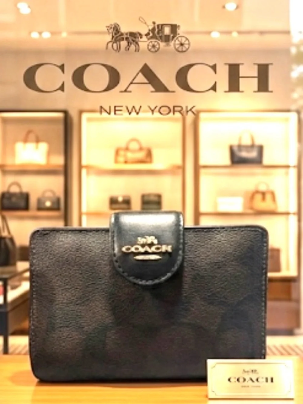 Coach Dark Brown Black signature C Wallet with Gold Logo zipper pouch - LIKE NEW